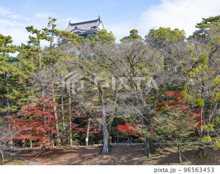 岡崎城（愛知県、11下旬） 96563453
