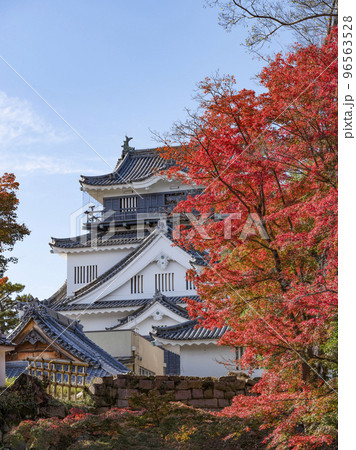 岡崎城(愛知県、11下旬) 岡崎城(愛知県、11下旬) 96563528