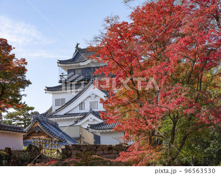 岡崎城(愛知県、11下旬) 岡崎城(愛知県、11下旬) 96563530