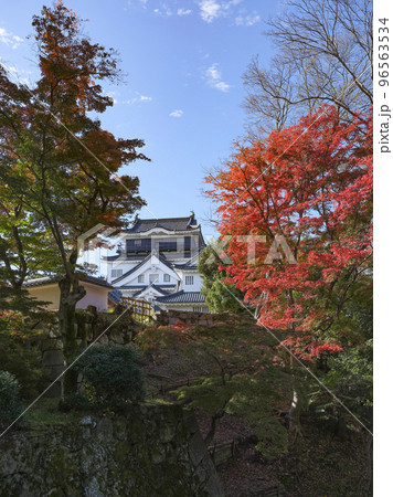 岡崎城(愛知県、11下旬) 岡崎城(愛知県、11下旬) 96563534