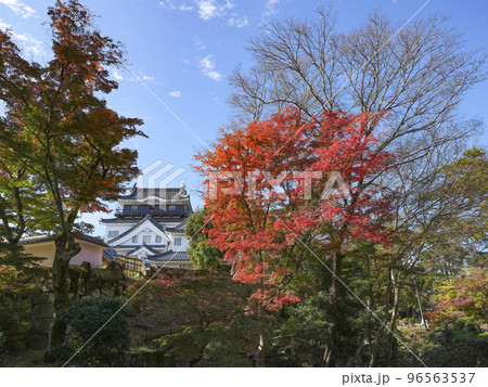岡崎城（愛知県、11下旬） 96563537