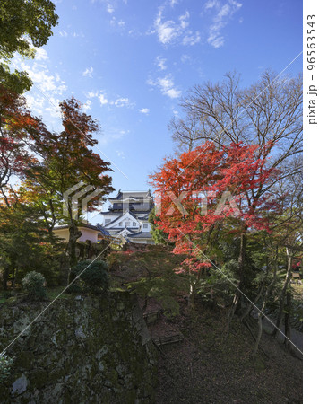 岡崎城（愛知県、11下旬） 96563543