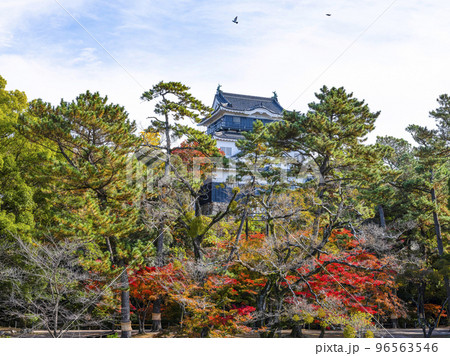 岡崎城(愛知県、11下旬) 岡崎城(愛知県、11下旬) 96563546