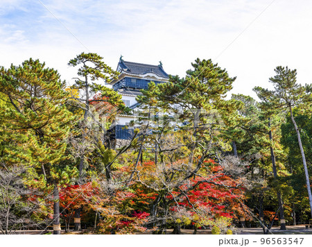 岡崎城(愛知県、11下旬) 岡崎城(愛知県、11下旬) 96563547