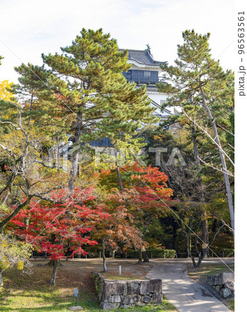 岡崎城（愛知県、11下旬） 96563561