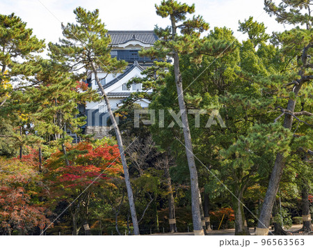 岡崎城(愛知県、11下旬) 岡崎城(愛知県、11下旬) 96563563