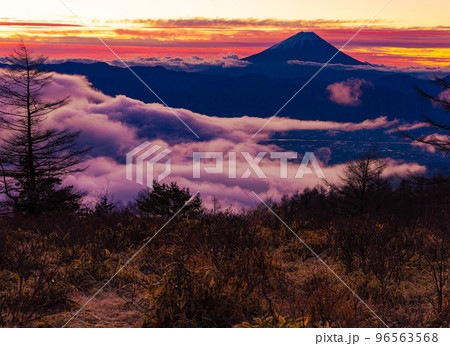 雲海と富士山 96563568