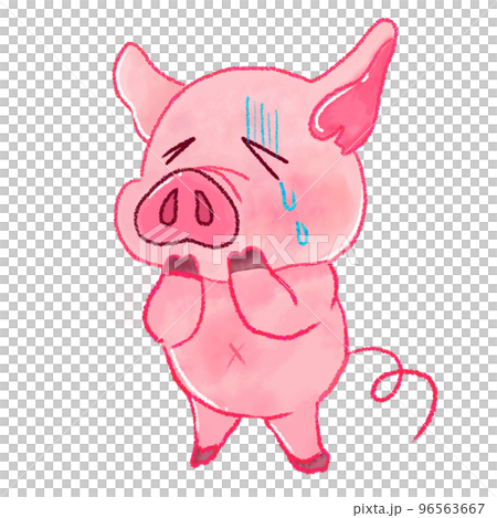 crying pig 96563667