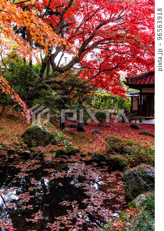 京都 栄摂院 紅葉 京都 栄摂院 紅葉 96563918
