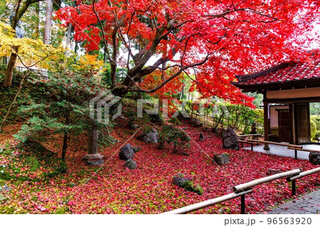 京都 栄摂院 紅葉 京都 栄摂院 紅葉 96563920