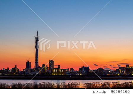 「東京都」荒川河川敷から眺める建設中の東京スカイツリー　夕暮れ 96564160