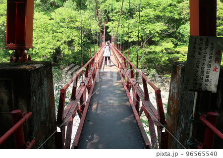 長門峡　紅葉橋 96565540