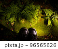 苔寺で足を揃えて新緑を感じる 96565626