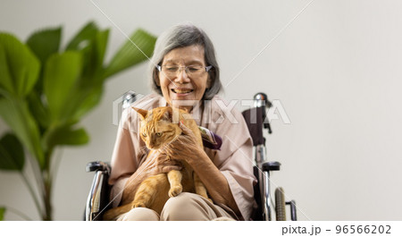 Pet therapy in dementia treatment on elderly woman. 96566202