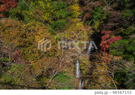 滝壺沢の滝　秋の丹沢 96567153