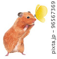 ハムスターと蝶 96567369