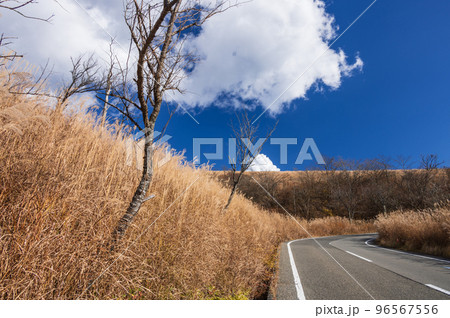 明神山のススキ草原　山中湖小山線 96567556