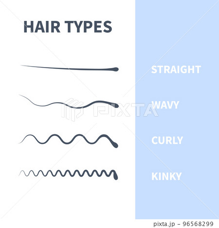 Hair types chart set of strands growth patterns 96568299