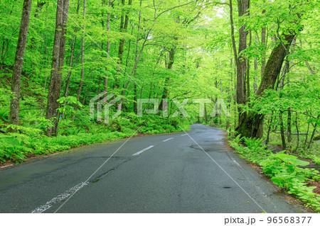 青森_奥入瀬渓流の道 青森_奥入瀬渓流の道 96568377