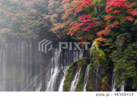 白糸の滝【静岡県】 白糸の滝【静岡県】 96568419