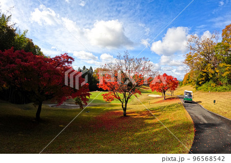 神戸パインウッズゴルフクラブ　4 96568542