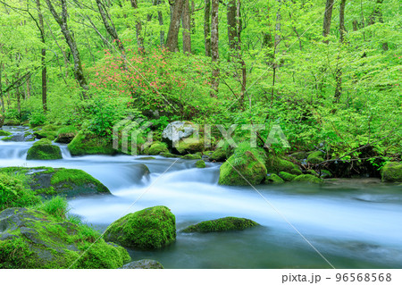 青森_新緑の奥入瀬渓流の絶景 青森_新緑の奥入瀬渓流の絶景 96568568
