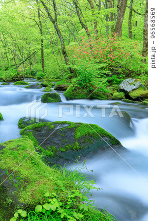 青森_新緑の奥入瀬渓流の絶景 青森_新緑の奥入瀬渓流の絶景 96568569
