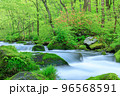 青森_新緑の奥入瀬渓流の絶景 96568591