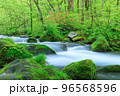 青森_新緑の奥入瀬渓流の絶景 96568596