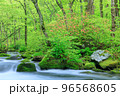 青森_新緑の奥入瀬渓流の絶景 96568605