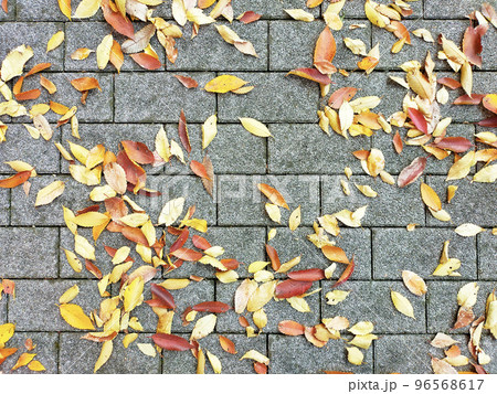 石畳の上の落ち葉・紅葉 96568617