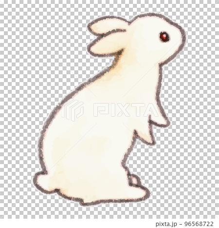 Rabbit watercolor illustration 96568722