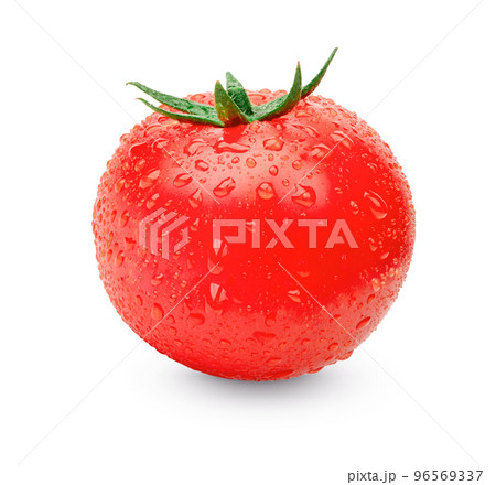 Fresh tomatoes with water drops isolated on white background Fresh tomatoes with water drops isolated on white background 96569337