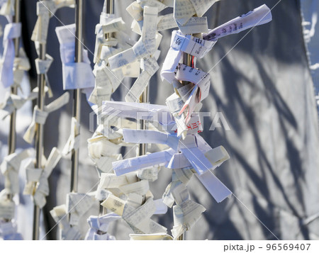 おみくじ結び所・深川不動堂 96569407