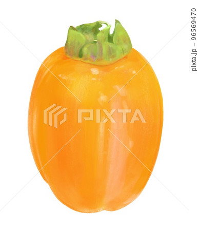 西条柿のイラスト(手描き) 西条柿のイラスト(手描き) 96569470