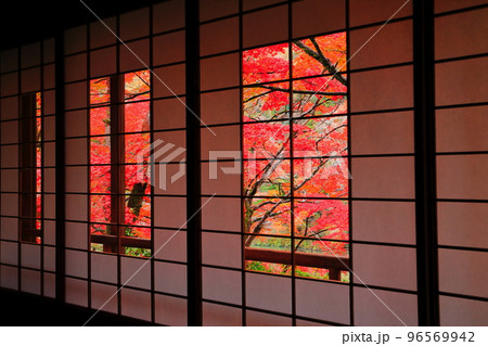 【京都府】嵐山祐斎亭の茶室から見た紅葉 96569942