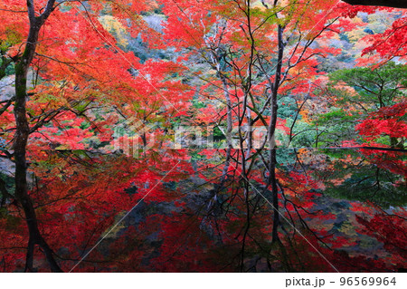 【京都府】嵐山祐斎亭の水鏡と紅葉 96569964