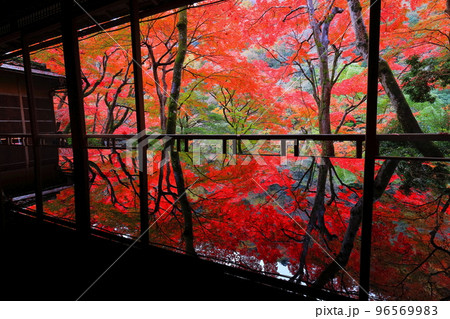 【京都府】嵐山祐斎亭の川端康成の部屋から見た紅葉 【京都府】嵐山祐斎亭の川端康成の部屋から見た紅葉 96569983