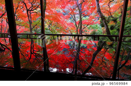 【京都府】嵐山祐斎亭の川端康成の部屋から見た紅葉 【京都府】嵐山祐斎亭の川端康成の部屋から見た紅葉 96569984