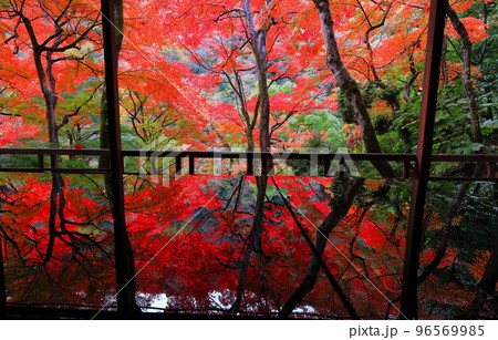 【京都府】嵐山祐斎亭の川端康成の部屋から見た紅葉 96569985