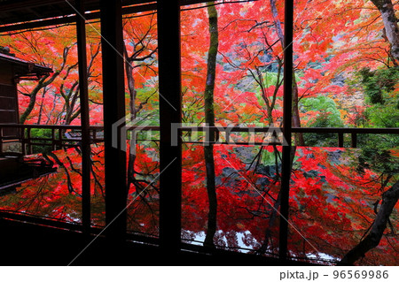 【京都府】嵐山祐斎亭の川端康成の部屋から見た紅葉 96569986