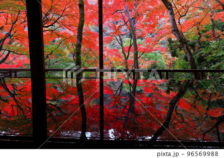 【京都府】嵐山祐斎亭の川端康成の部屋から見た紅葉 96569988