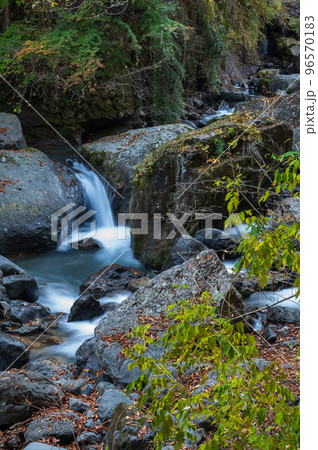 大柳川渓谷の風景 渓流 大柳川渓谷の風景 渓流 96570183