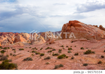 The Valley of Fire State Park, USA. 96570334