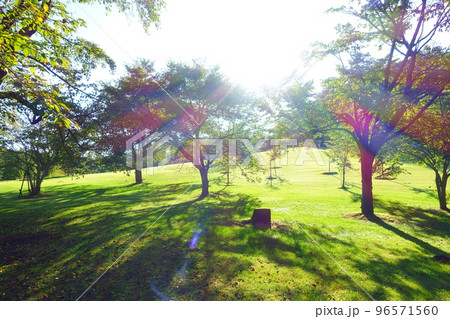 野草園　山形市 96571560