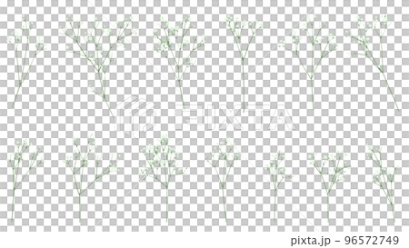 かわいいかすみ草のイラストセット 96572749