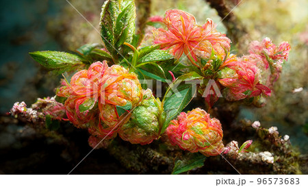 Abstract composition of plants and flower petals painting color texture. Modern floral pattern 96573683
