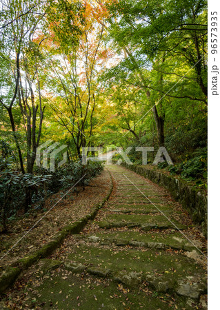 秋の紅葉が美しい熊本の風景 96573935