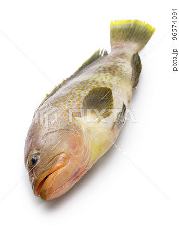 アオハタ アオハタ 96574094