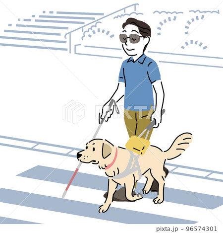 シンプルなタッチの横断歩道を渡る盲導犬 シンプルなタッチの横断歩道を渡る盲導犬 96574301